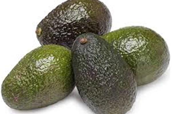 Avocado (Hass) Vers aanbod in de winkel op 20 maart en 21 maart Webshop